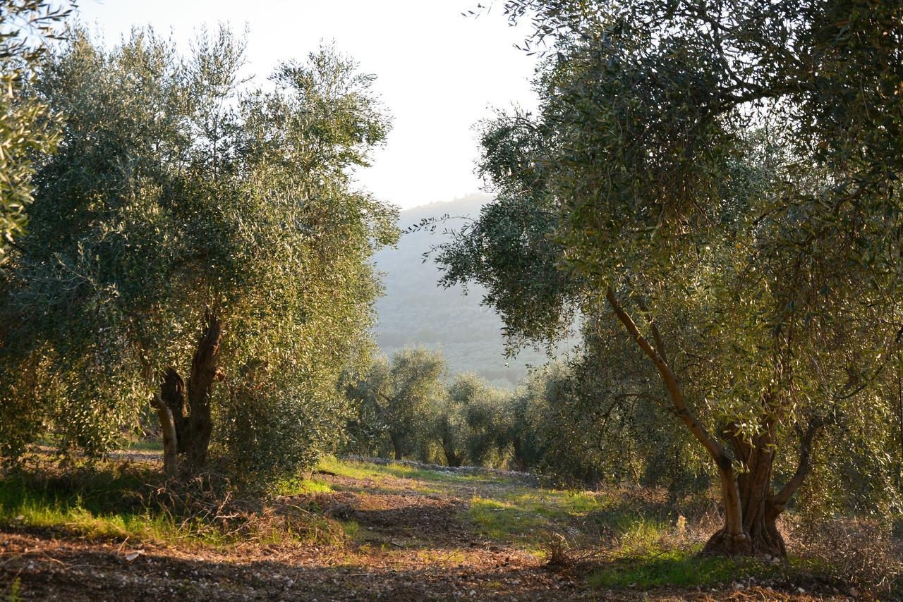Villa Torre Bruno Carpino Esterno foto