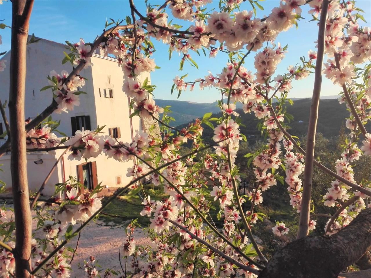Villa Torre Bruno Carpino Esterno foto